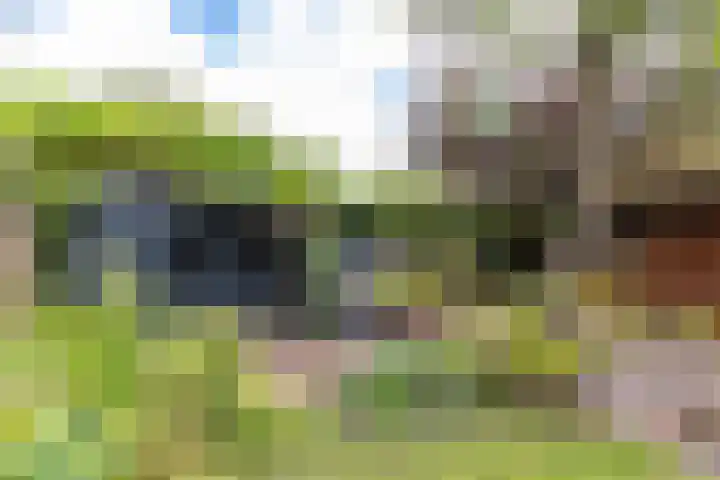 De Savornin Lohmanplein 9 Groningen thumbnail 36