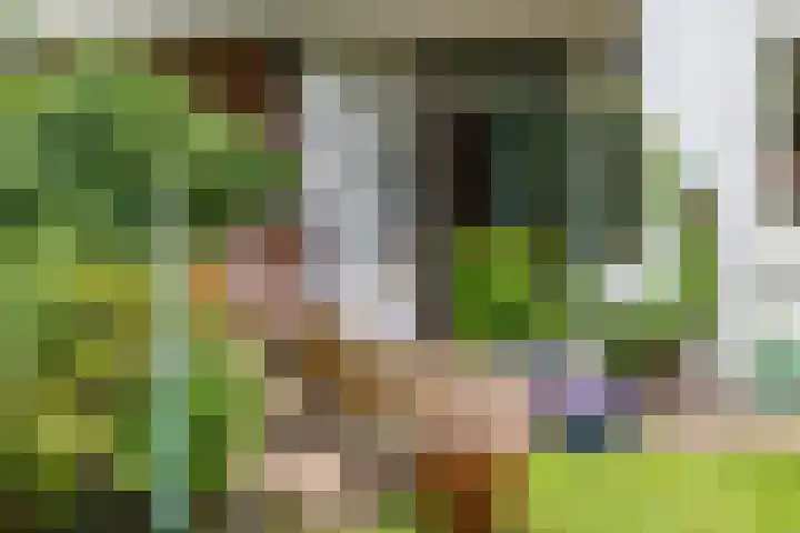De Savornin Lohmanplein 9 Groningen thumbnail 39
