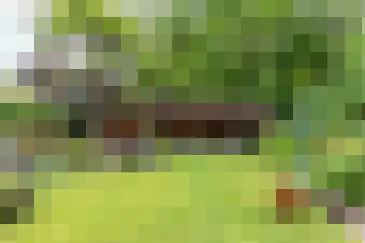 De Savornin Lohmanplein 9 Groningen thumbnail 4