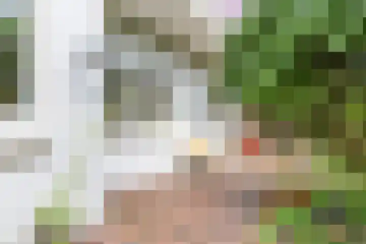 De Savornin Lohmanplein 9 Groningen thumbnail 41
