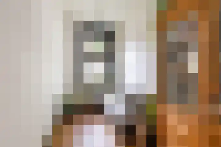 De Savornin Lohmanplein 9 Groningen thumbnail 44