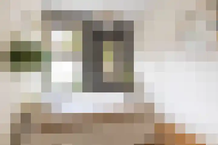 De Savornin Lohmanplein 9 Groningen thumbnail 46
