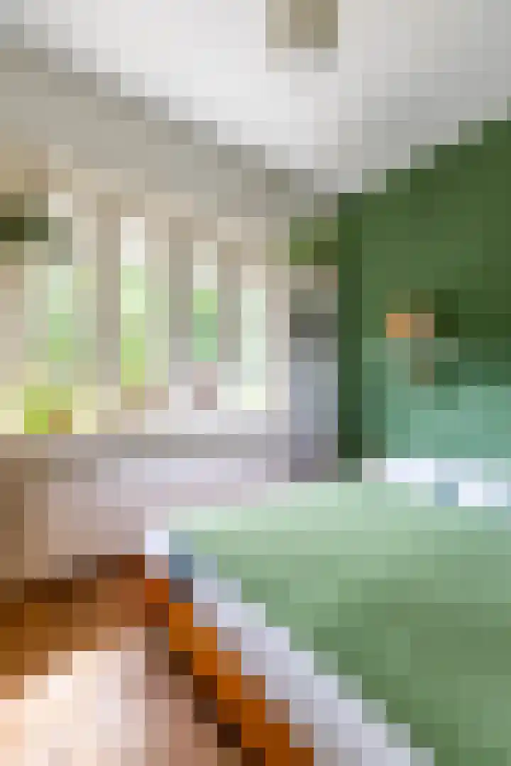 De Savornin Lohmanplein 9 Groningen thumbnail 48