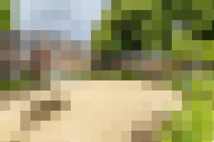 De Savornin Lohmanplein 9 Groningen thumbnail 57