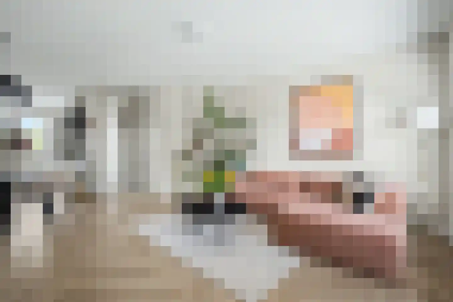 De Savornin Lohmanstraat 1 a Wierden thumbnail 11