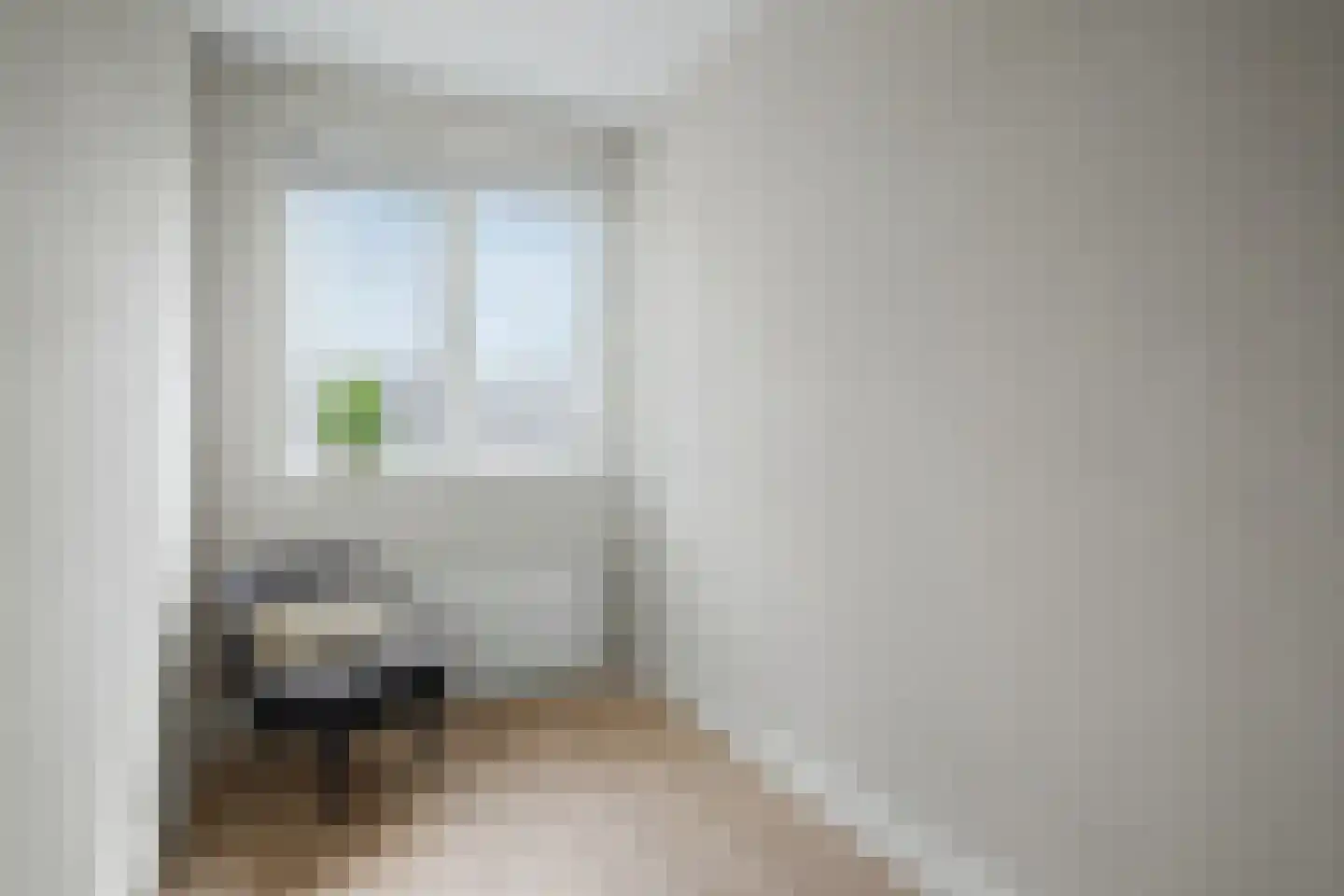 De Savornin Lohmanstraat 1 a Wierden thumbnail 20