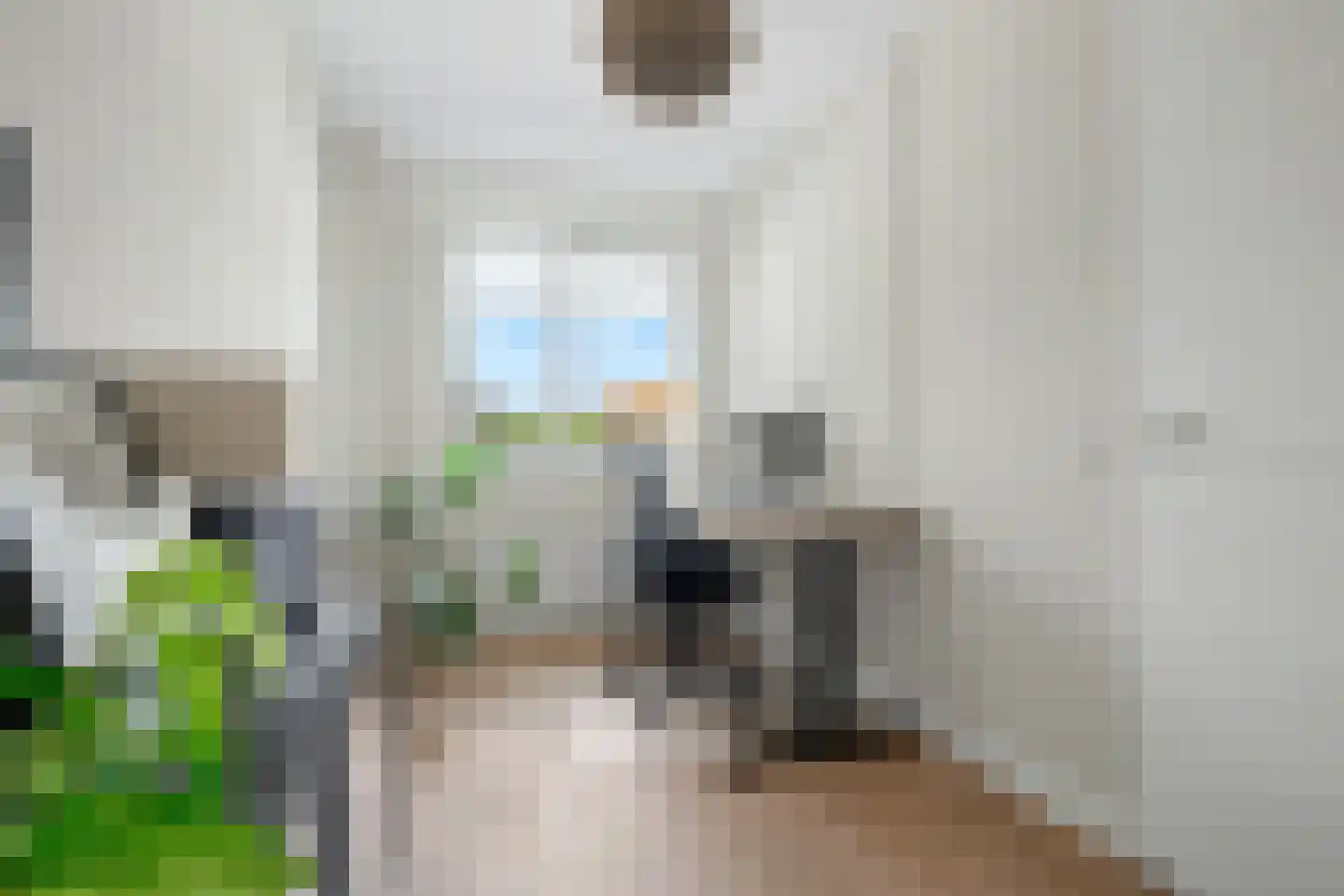 De Savornin Lohmanstraat 1 a Wierden thumbnail 26
