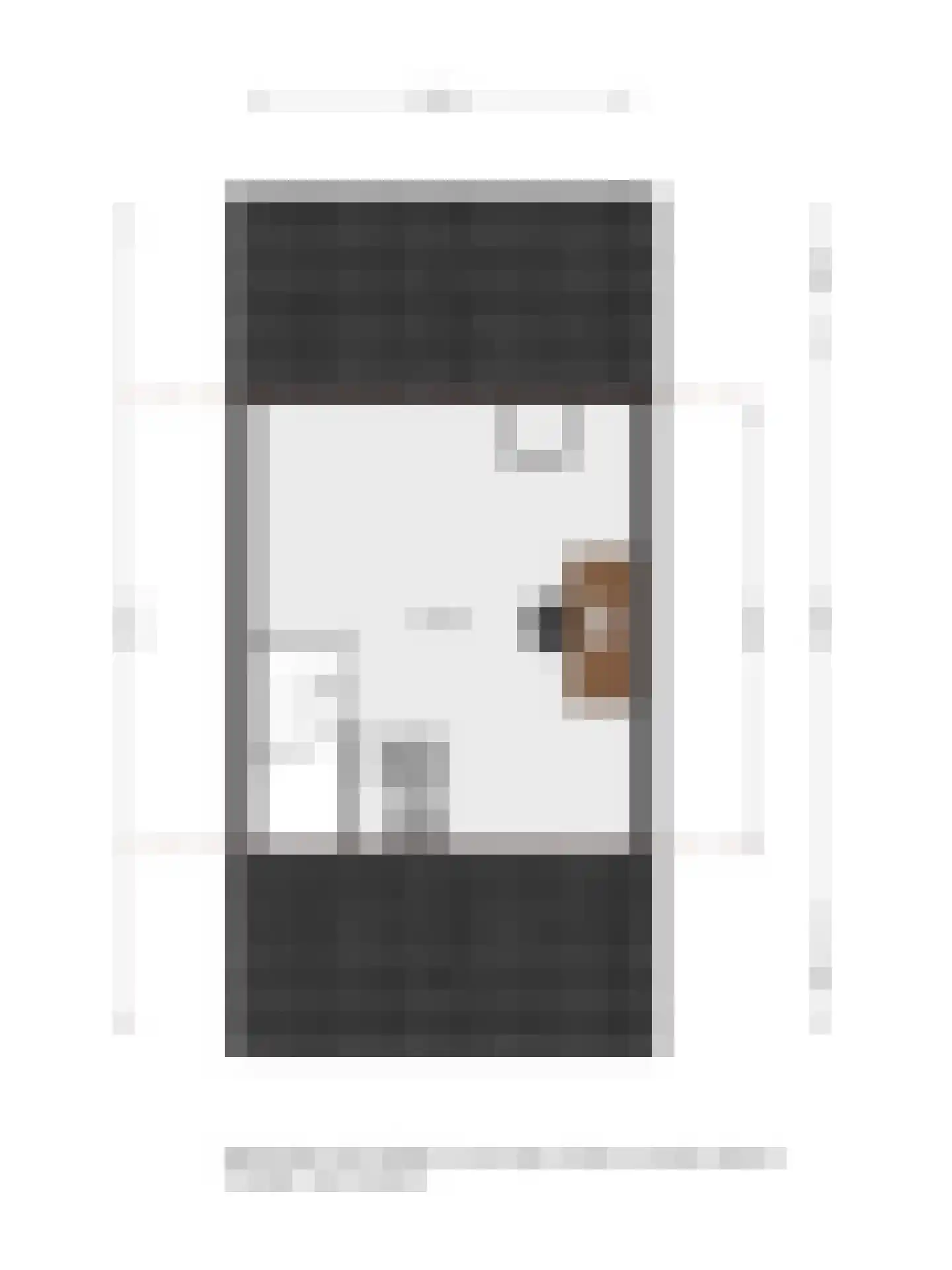 De Savornin Lohmanstraat 1 a Wierden thumbnail 42