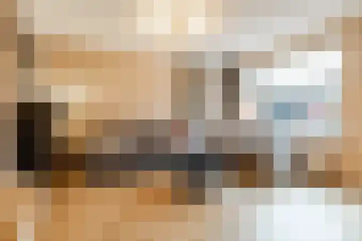 De Savornin Lohmanstraat 1 e Wierden thumbnail 10
