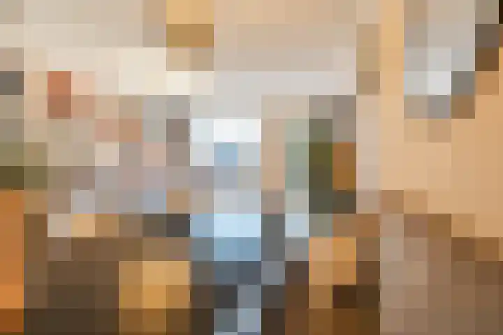 De Savornin Lohmanstraat 1 e Wierden thumbnail 14