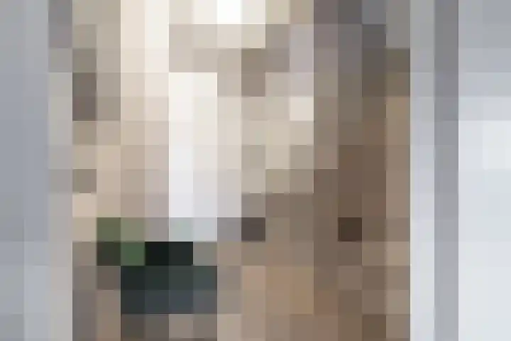 De Savornin Lohmanstraat 1 e Wierden thumbnail 15