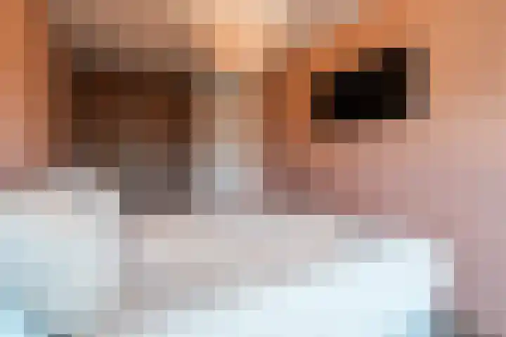 De Savornin Lohmanstraat 1 e Wierden thumbnail 17