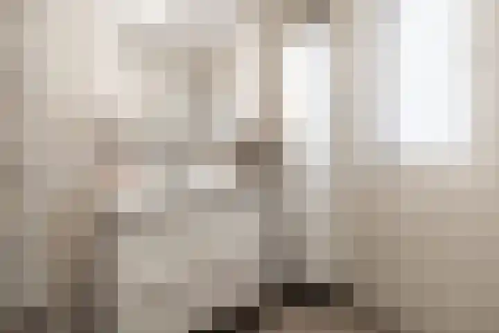 De Savornin Lohmanstraat 1 e Wierden thumbnail 27