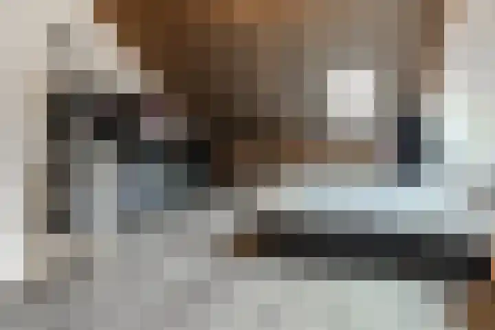 De Savornin Lohmanstraat 1 e Wierden thumbnail 29