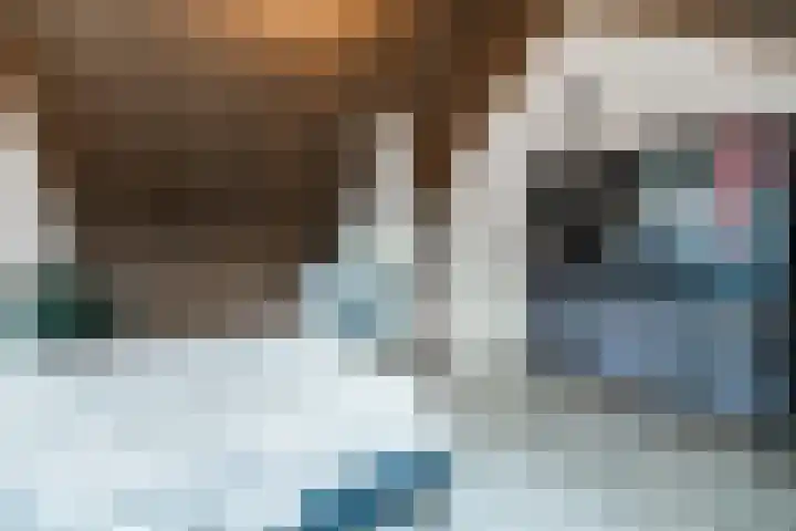 De Savornin Lohmanstraat 1 e Wierden thumbnail 30