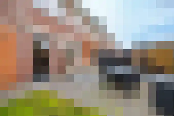 De Savornin Lohmanstraat 1 e Wierden thumbnail 32