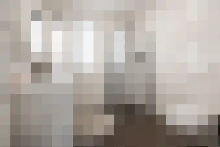 De Savornin Lohmanstraat 1 e Wierden thumbnail 4