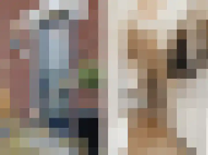 De Savornin Lohmanstraat 1 e Wierden thumbnail 6