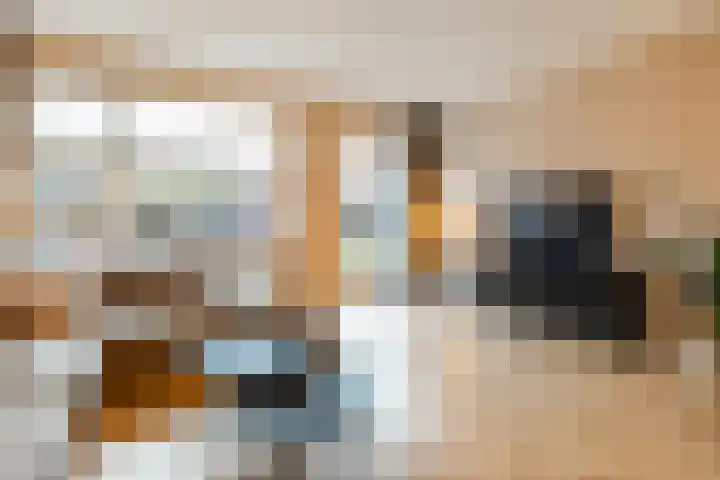 De Savornin Lohmanstraat 1 e Wierden thumbnail 8