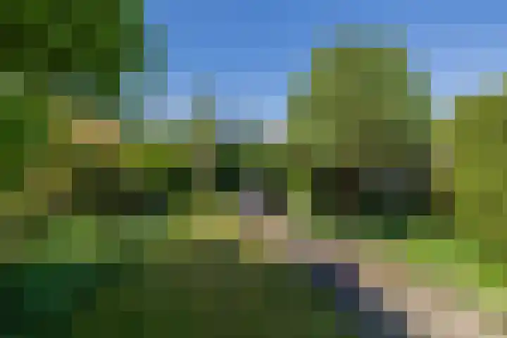 De Savornin Lohmanstraat 11 Noordwijkerhout thumbnail 13