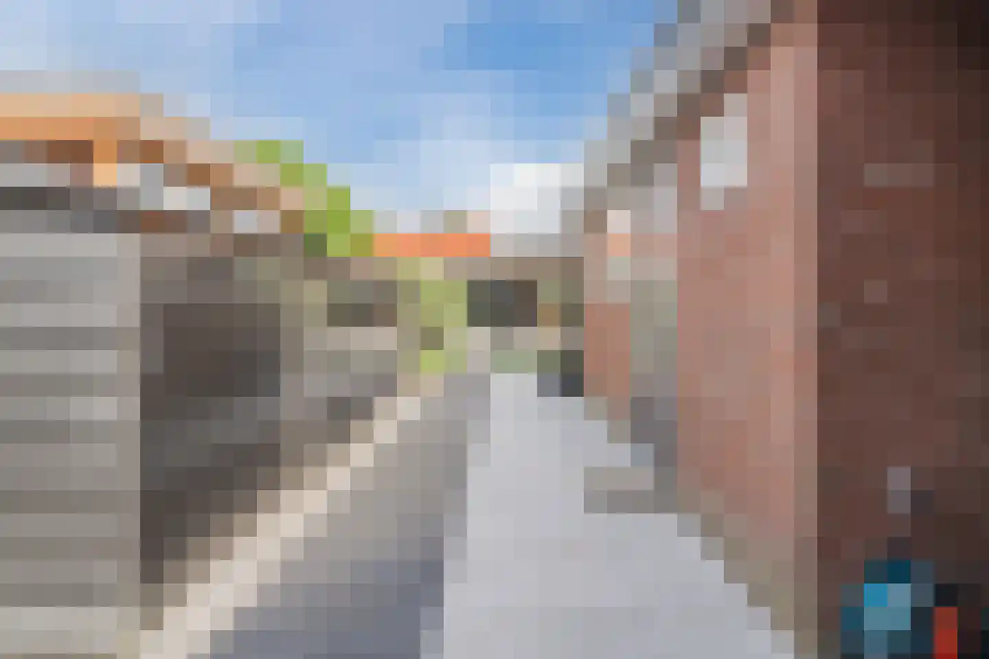 De Savornin Lohmanstraat 117 Veenendaal thumbnail 32