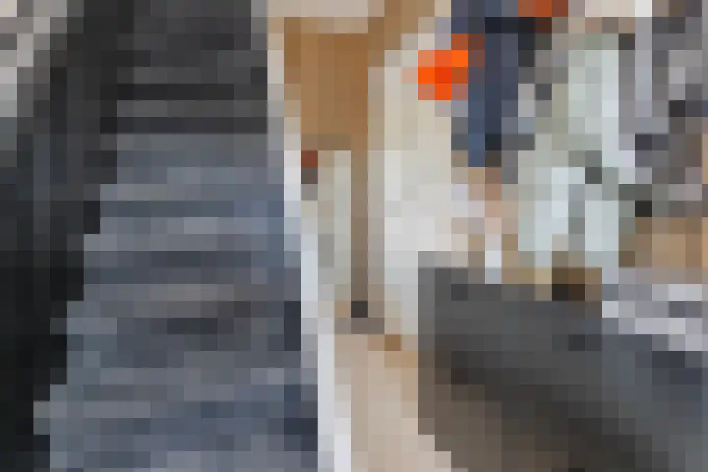 De Savornin Lohmanstraat 117 Veenendaal thumbnail 4