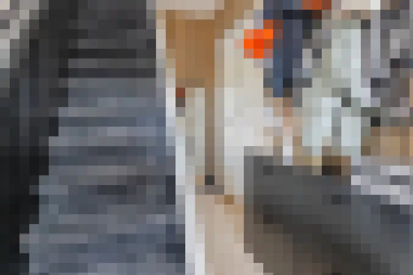 De Savornin Lohmanstraat 117 Veenendaal thumbnail 4