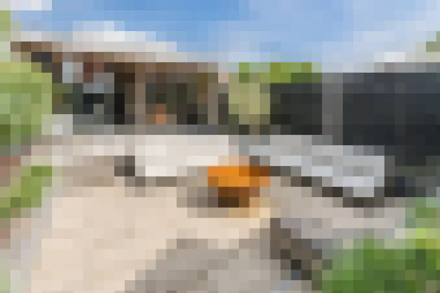 De Savornin Lohmanstraat 117 Veenendaal thumbnail 41