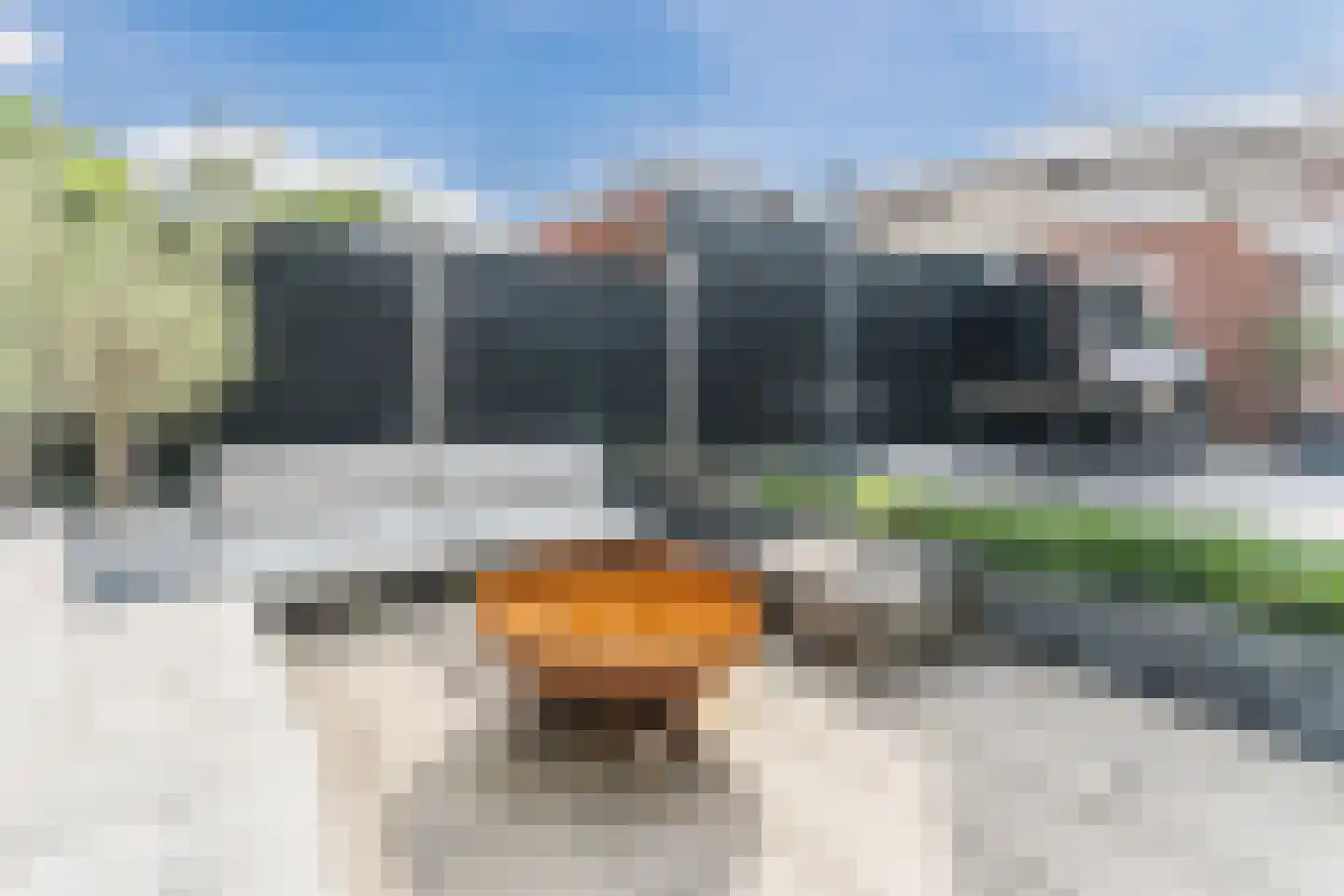 De Savornin Lohmanstraat 117 Veenendaal thumbnail 42