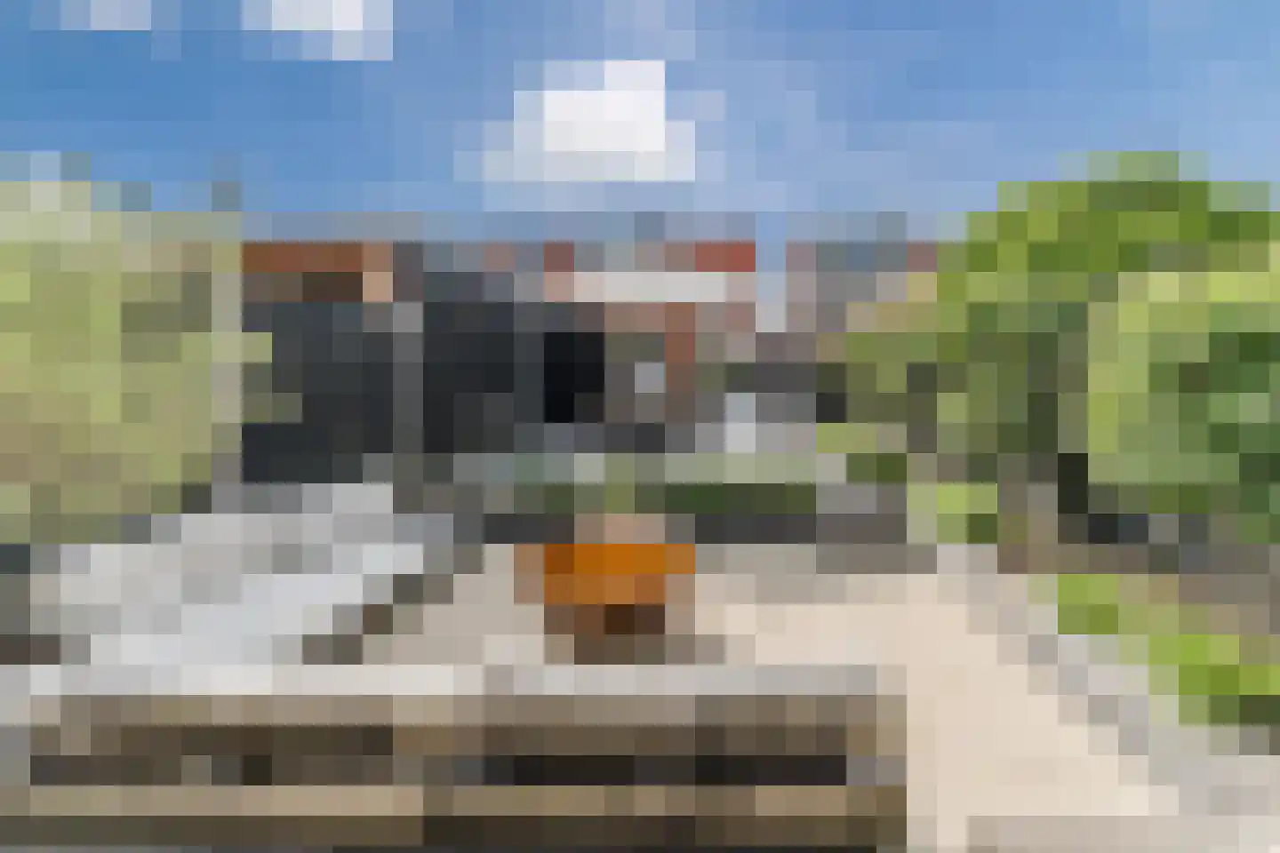 De Savornin Lohmanstraat 117 Veenendaal thumbnail 45