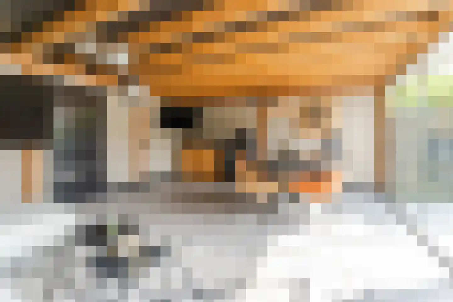 De Savornin Lohmanstraat 117 Veenendaal thumbnail 47