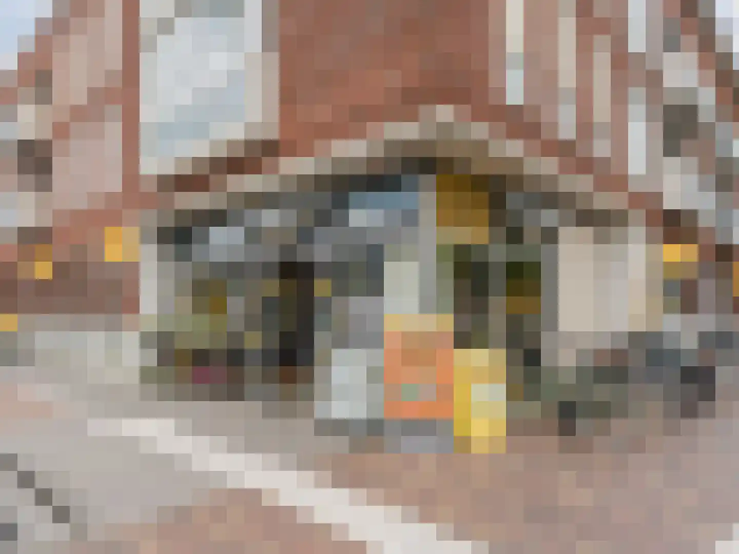 De Savornin Lohmanstraat 117 Veenendaal thumbnail 56