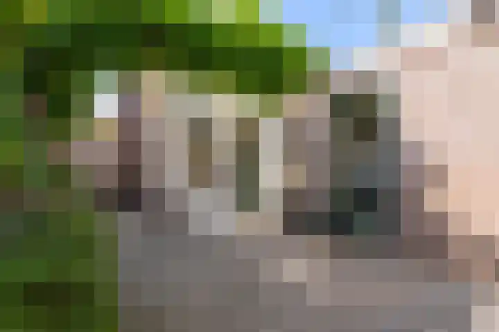 De Savornin Lohmanstraat 123 Veenendaal thumbnail 26
