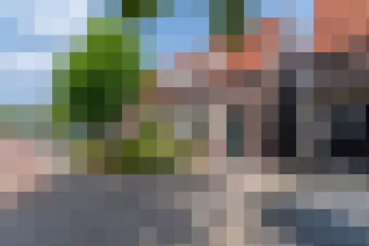 De Savornin Lohmanstraat 123 Veenendaal thumbnail 33
