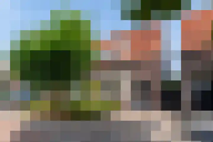 De Savornin Lohmanstraat 123 Veenendaal thumbnail 38