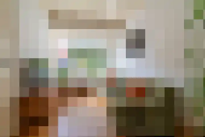 De Savornin Lohmanstraat 123 Veenendaal thumbnail 7