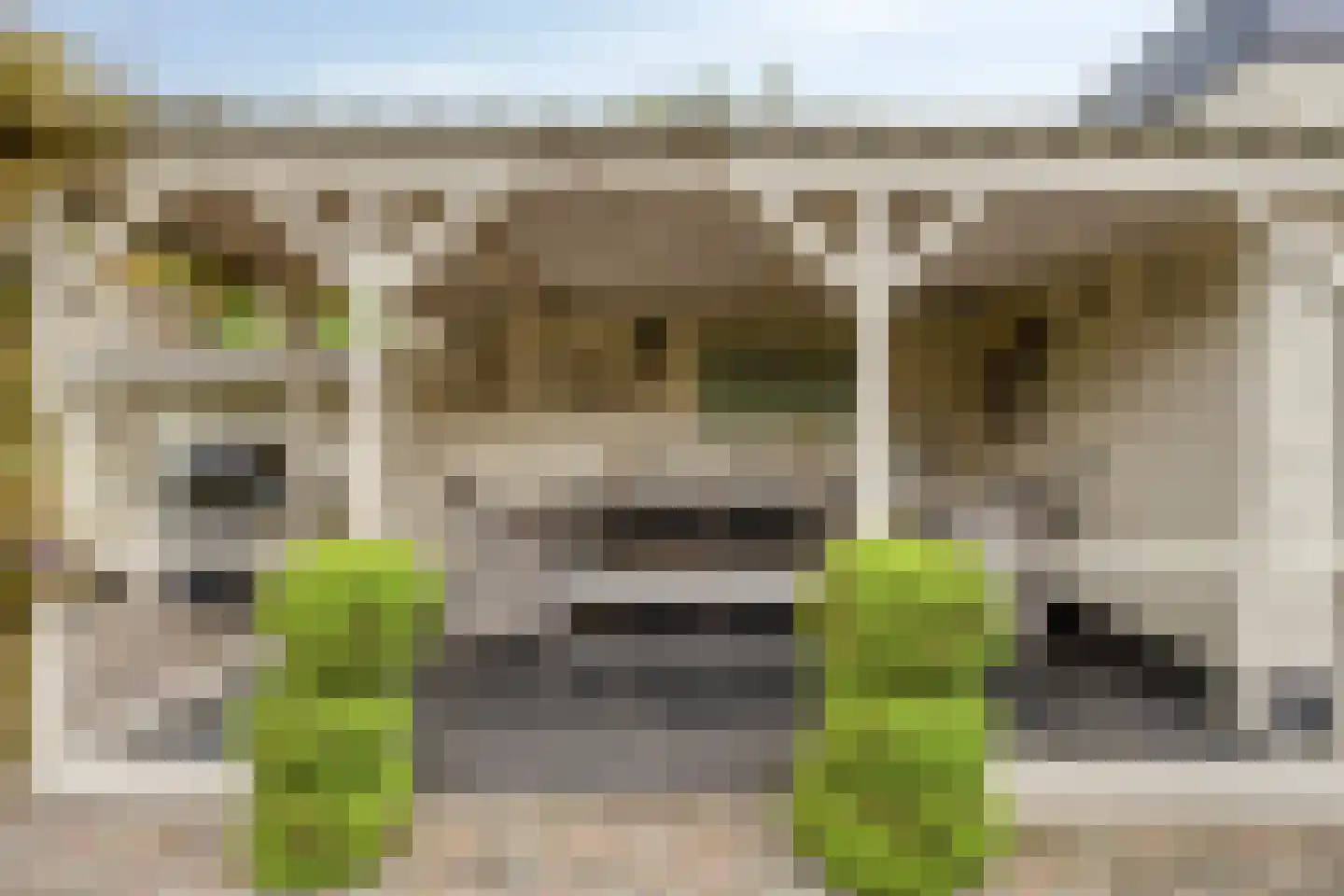 De Savornin Lohmanstraat 129 Veenendaal thumbnail 33