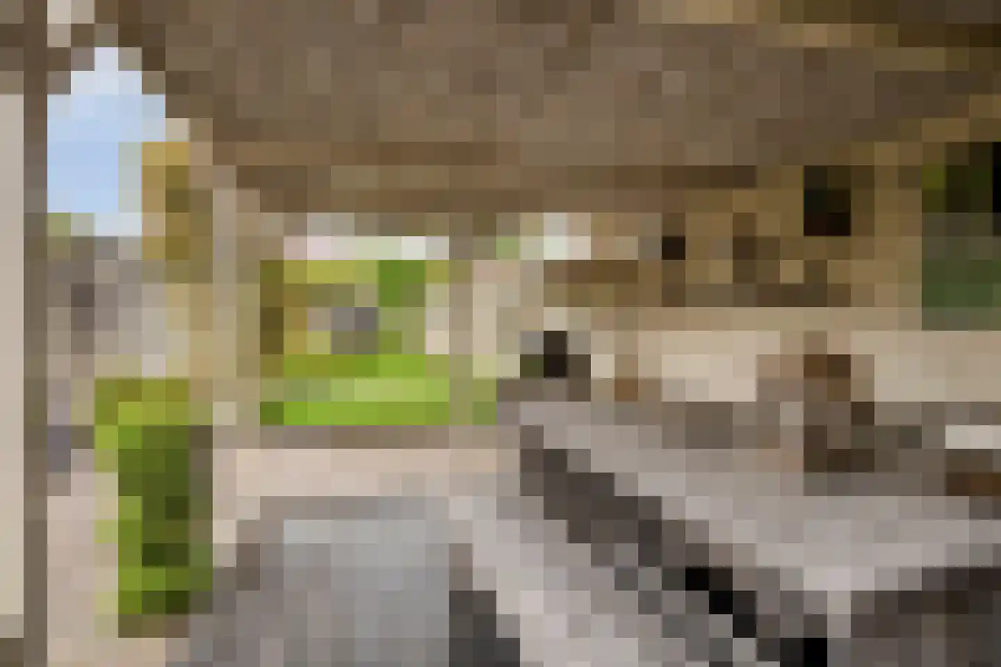 De Savornin Lohmanstraat 129 Veenendaal thumbnail 34