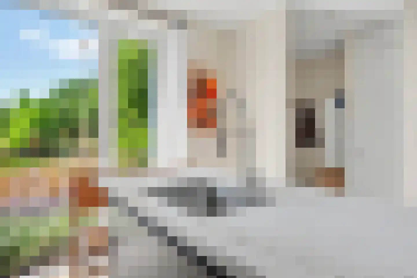 De Savornin Lohmanstraat 13 Almelo thumbnail 13