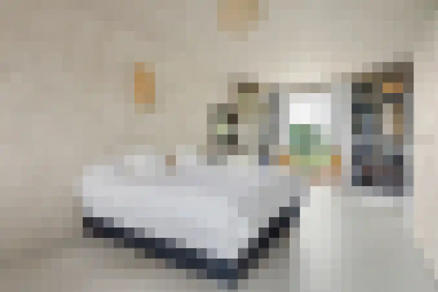 De Savornin Lohmanstraat 13 Almelo thumbnail 19