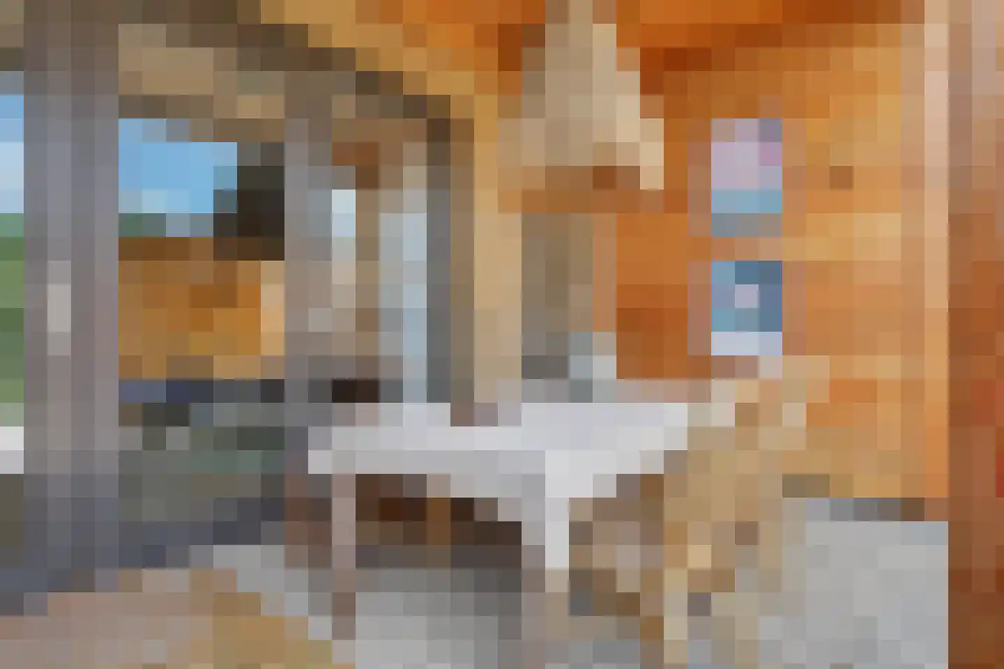 De Savornin Lohmanstraat 13 Almelo thumbnail 29