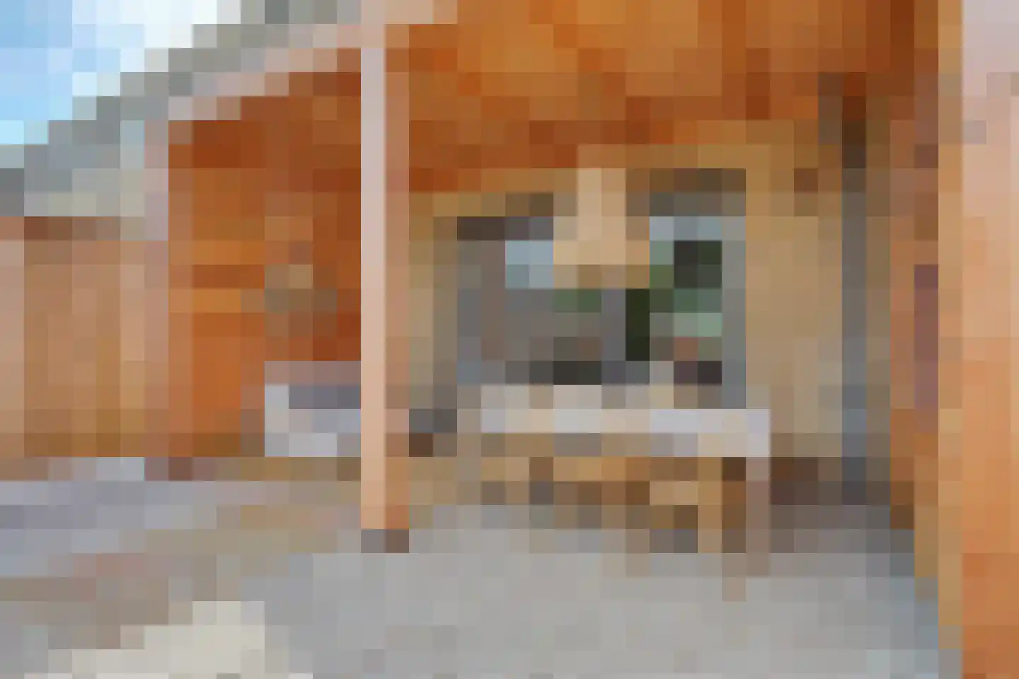 De Savornin Lohmanstraat 13 Almelo thumbnail 31