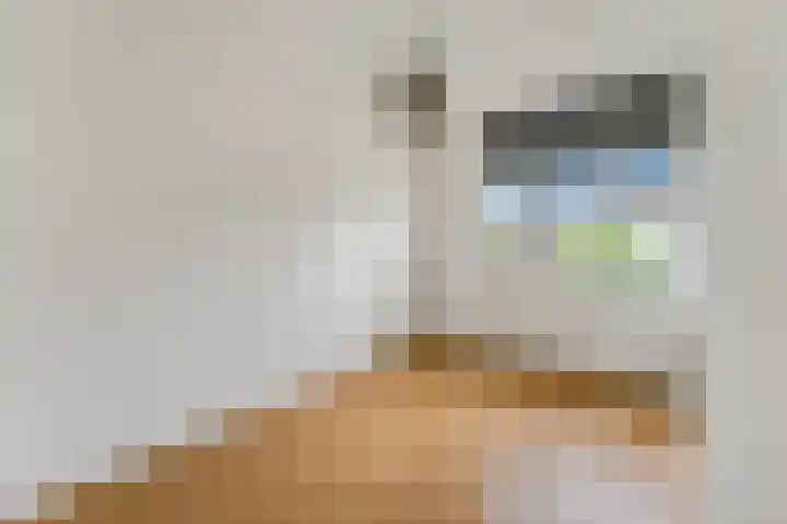 de Savornin Lohmanstraat 13 Lunteren thumbnail 15