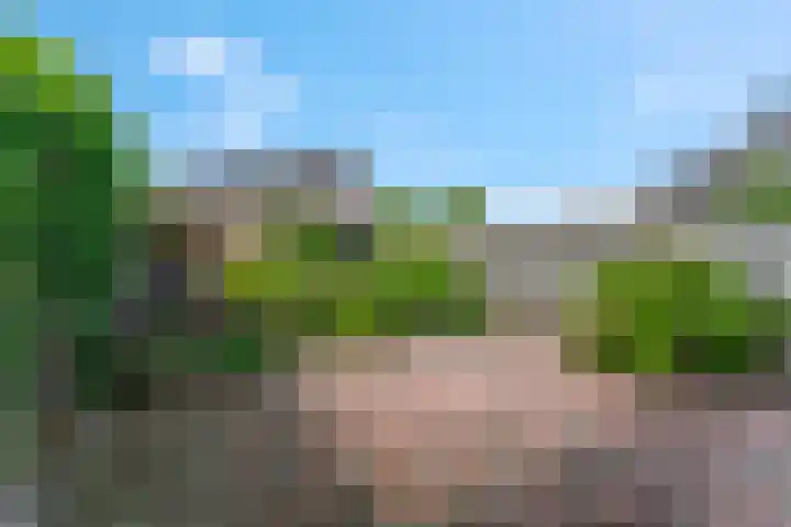 de Savornin Lohmanstraat 13 Lunteren thumbnail 21