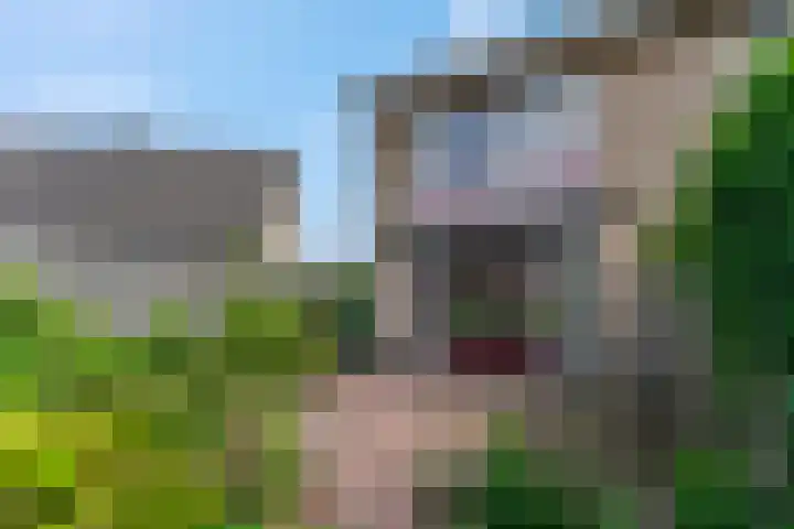 de Savornin Lohmanstraat 13 Lunteren thumbnail 23
