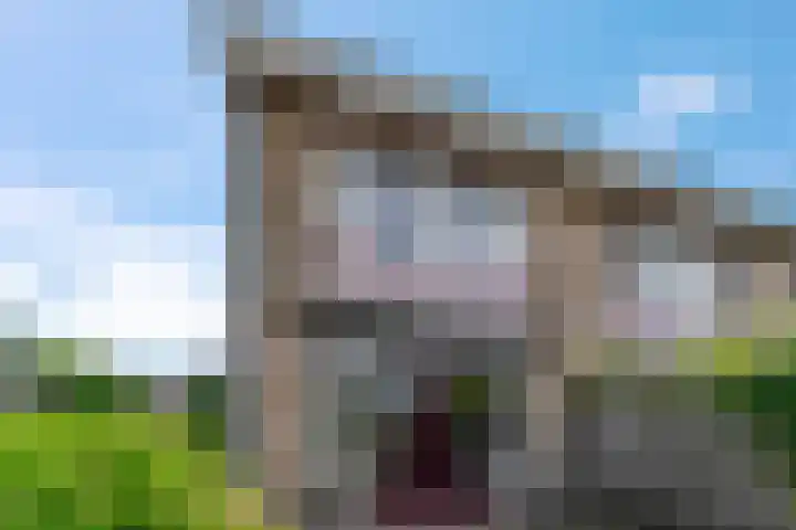 de Savornin Lohmanstraat 13 Lunteren thumbnail 24