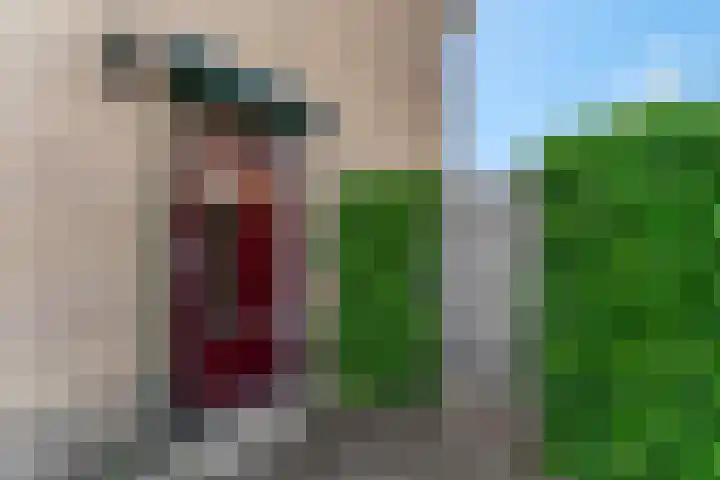 de Savornin Lohmanstraat 13 Lunteren thumbnail 25