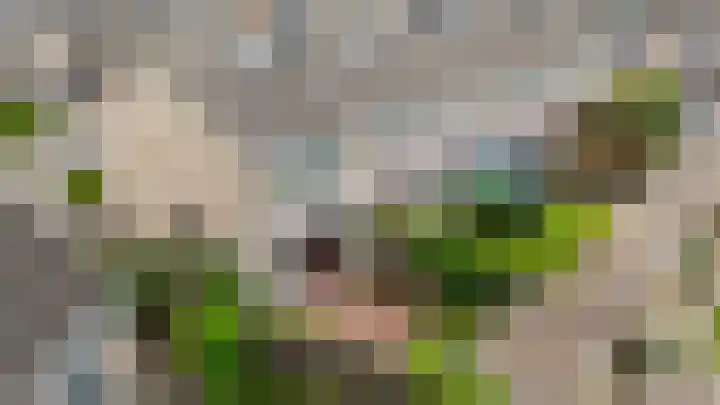 de Savornin Lohmanstraat 13 Lunteren thumbnail 31