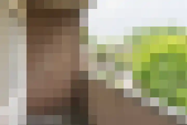 De Savornin Lohmanstraat 13 Tilburg thumbnail 22