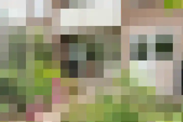De Savornin Lohmanstraat 13 Tilburg thumbnail 30